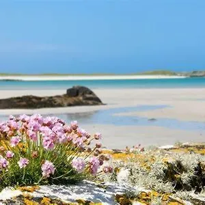  Guest house Wild Atlantic Self-catering Ireland
